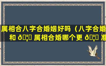 属相合八字合婚姻好吗（八字合婚和 🦈 属相合婚哪个更 🦆 准）